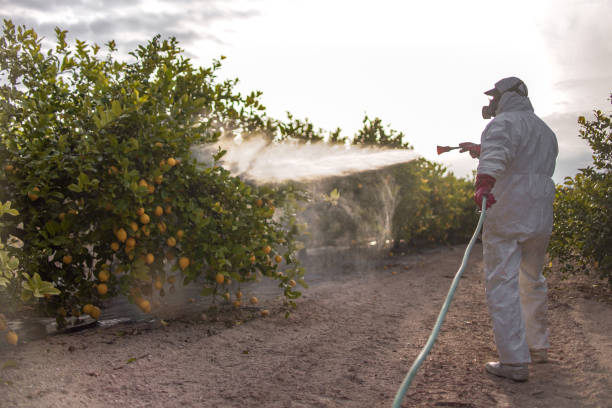 Best Pest Control Near Me in Lavonia, GA