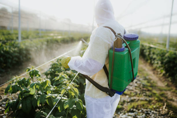 Best Wildlife Control Services  in Lavonia, GA